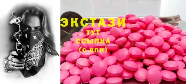 СК Алексин