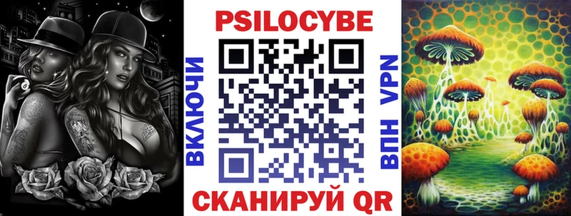 хочу наркоту  Зеленоградск  Псилоцибиновые грибы GOLDEN TEACHER 